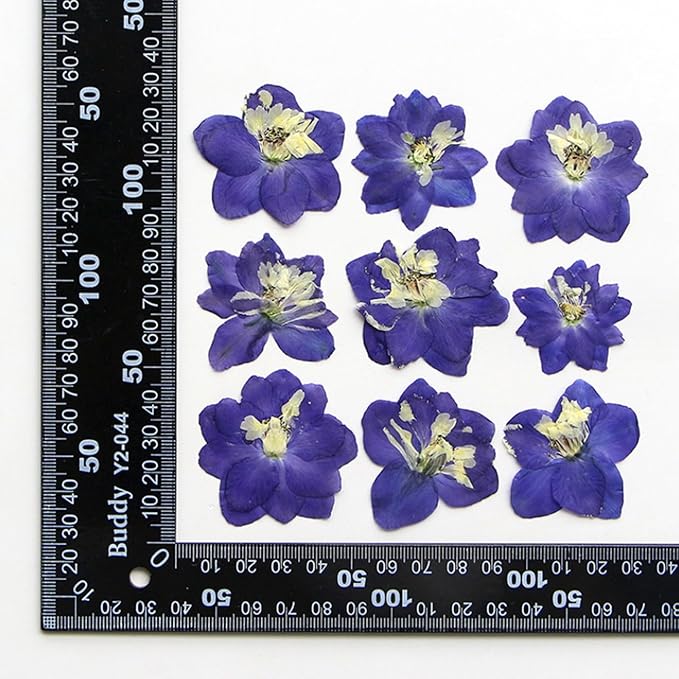 48 Pcs Dried Pressed Flowers for Resin DIY Art Crafts Natural Dry Sakura - Image 7