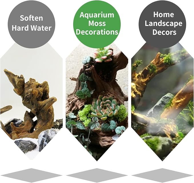 Hamiledyi 12Pcs Small Driftwood - Image 5