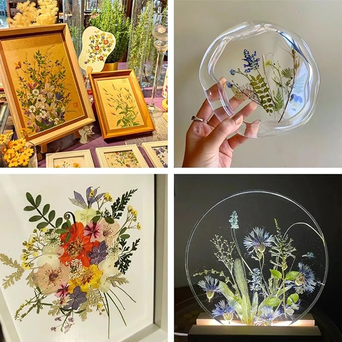 Dried Pressed Flowers - Image 5