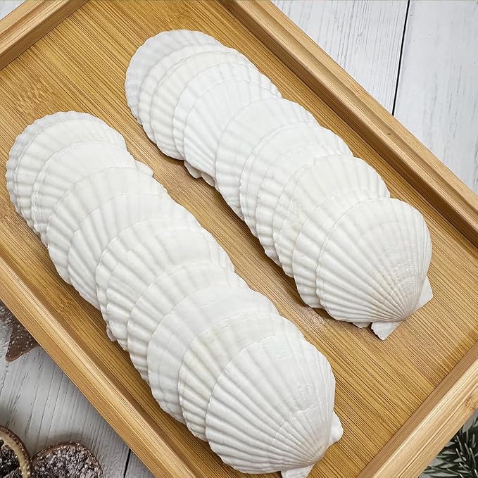 30 PCS Seashells for Crafts 2-3 Inches White Natural Bulk Scallop Shells for - Image 7