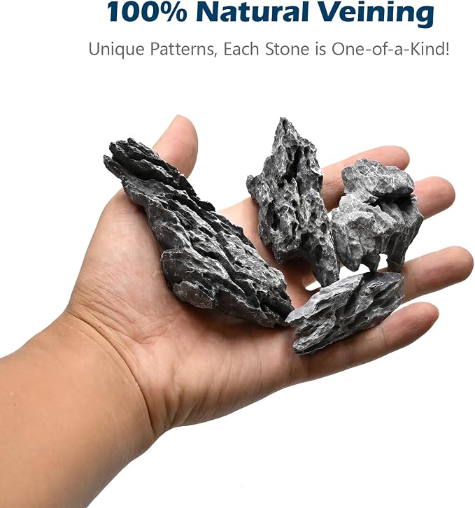 Natural Rocks Seiryu Stone 1-2.5 Inches Decorative Rocks - Image 2
