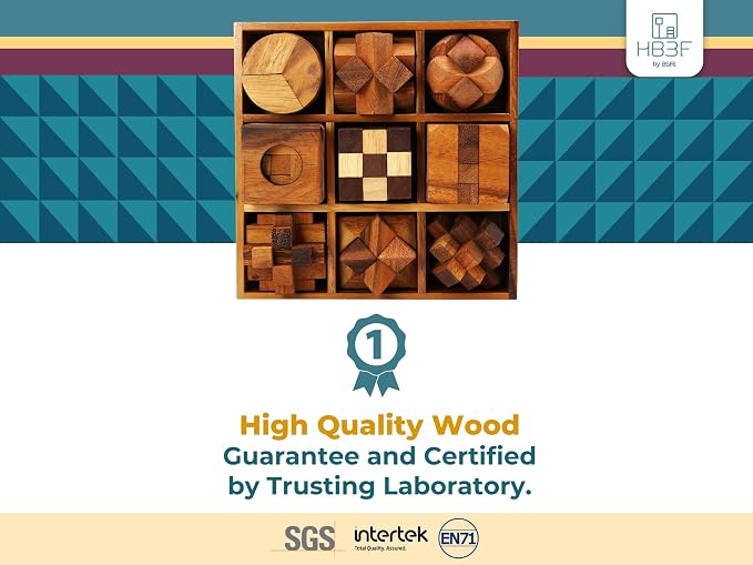 BSIRI 9 in 1 Wooden Brain Teaser Puzzles - Image 3