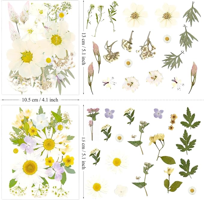 130Pcs White Pressed Dried Flowers and Butterfly - Image 5
