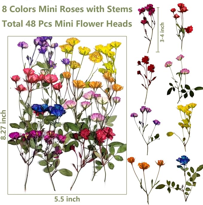 8 Types Real Dried Pressed Rose Flowers Plant Herbarium - Image 2