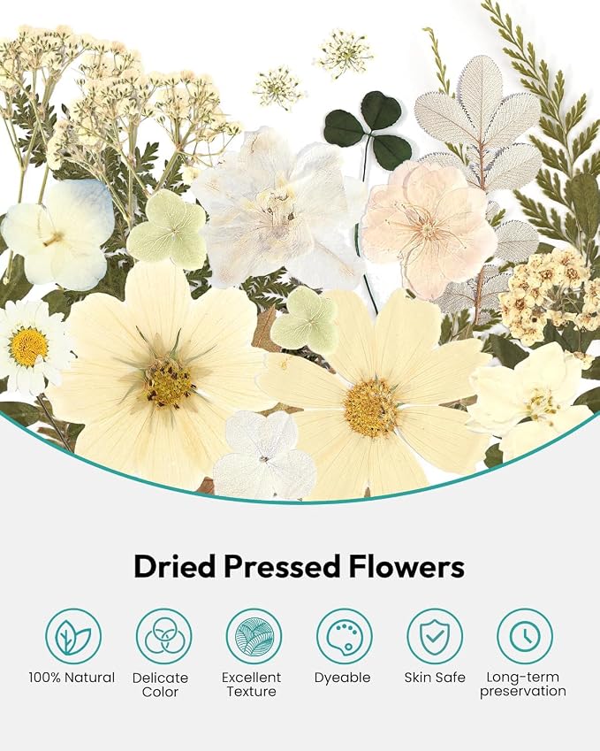 Dried Flowers, Resiners 100Pcs Pressed Flowers - Image 4