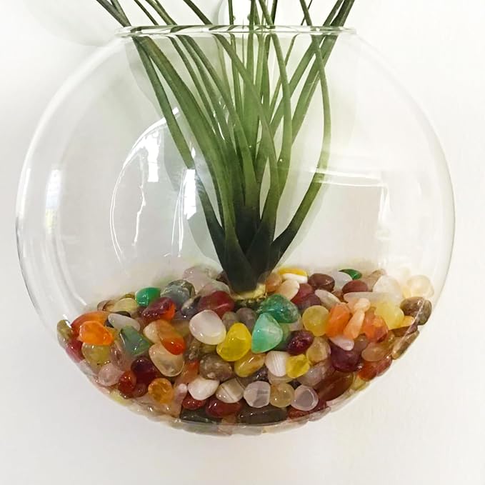 2Lb Pebbles for Indoor Plants, 1/3" Plant Rocks for Pots Indoor, Small - Image 6