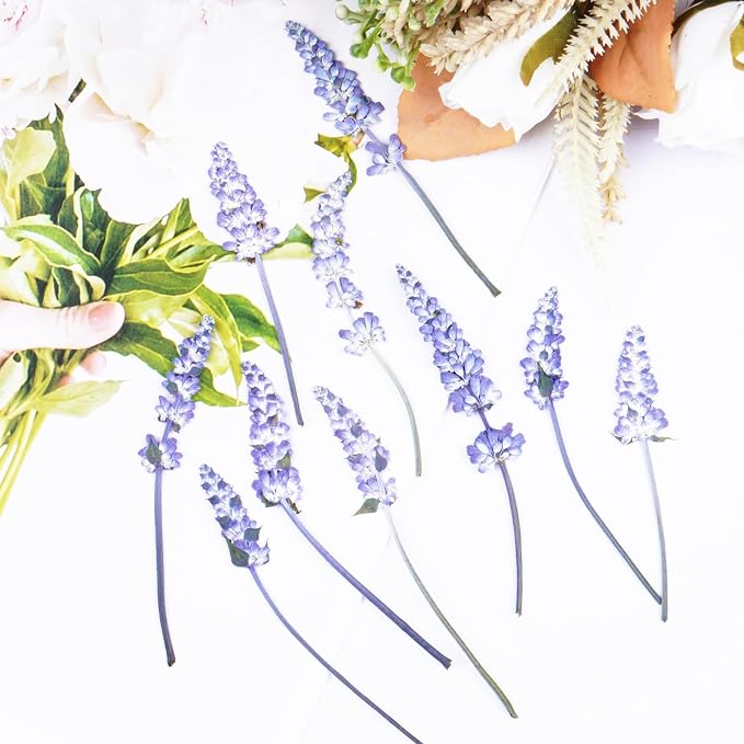 50Pcs Lavender Dried Pressed Flowers - Image 5