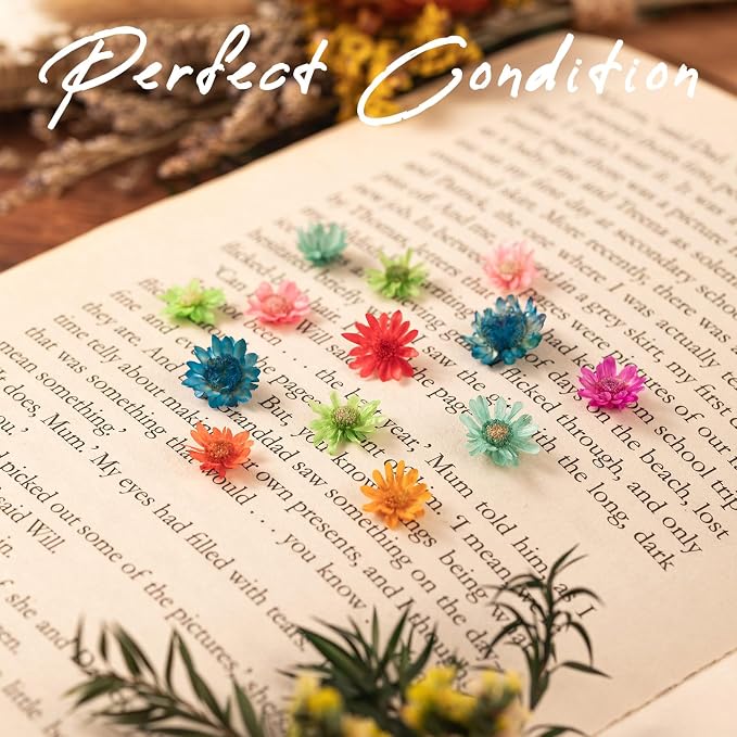 880 PCS Small Dried Flowers for Crafts Resin - Image 2