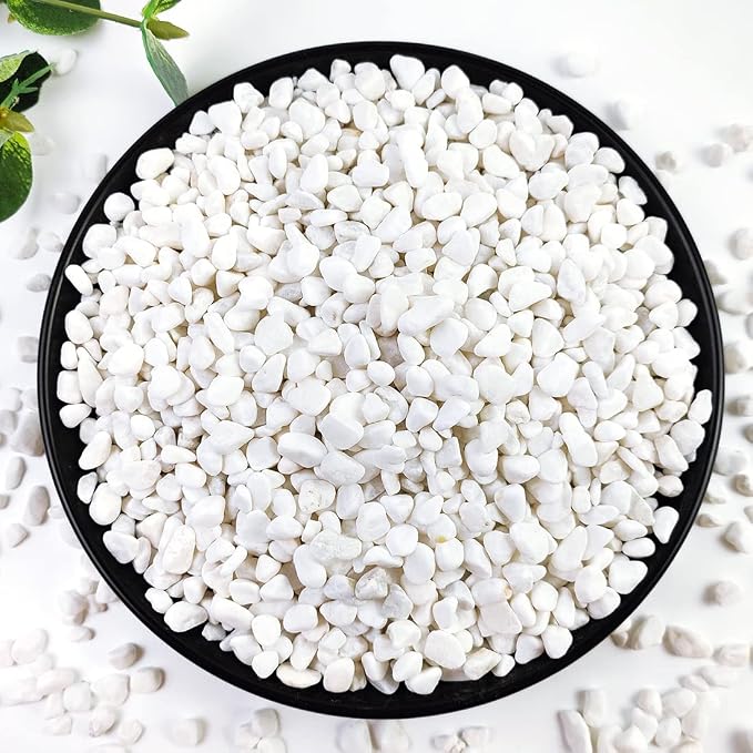 YISZM 2LB Succulent and Cactus Gravel Pebbles, 1/5 Inch White Natural by YISZM-ForYourNaturalLife