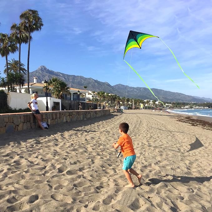 Large Single Line Beach Kite for Adults - Image 4