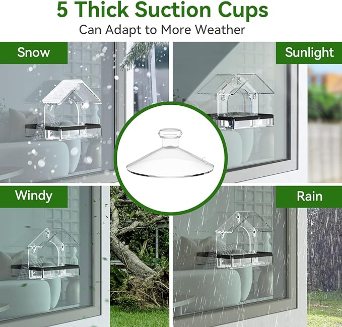 Clear Window Bird Feeder with 5 Extra Strong Suction Cups, DY-SKTY Sturdy and - Image 2