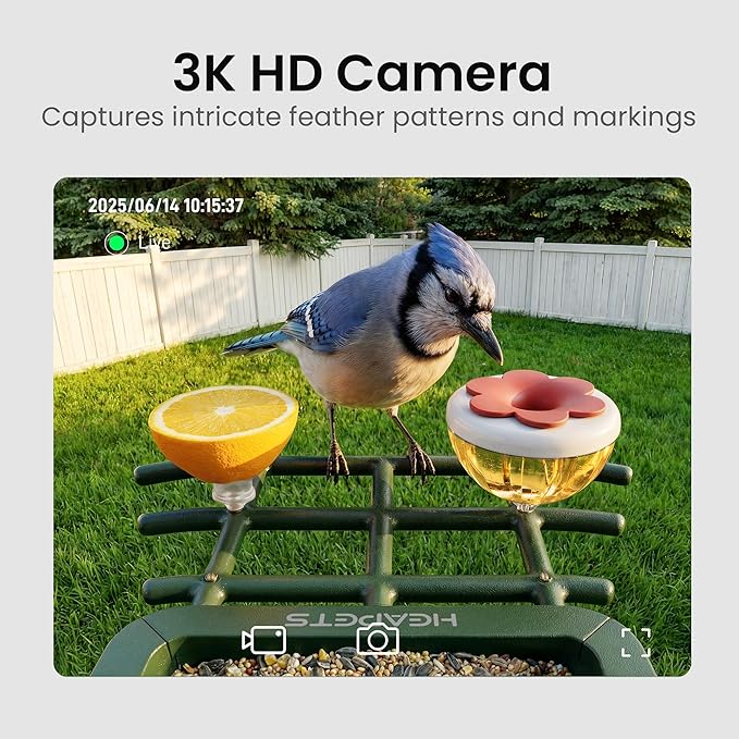 HEAPETS Bird Feeder with Camera Solar Powered, 3K HD Video, AI Bird Recognition - Image 2