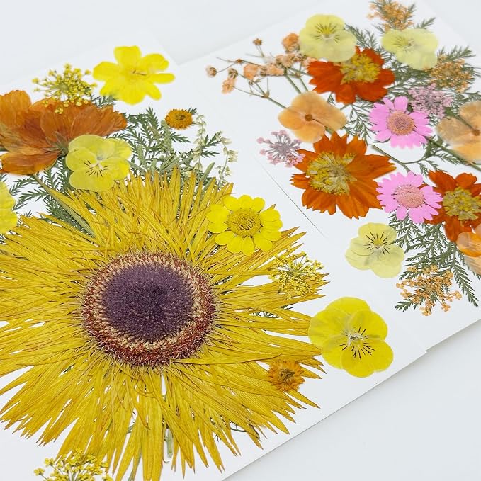Woohome 44 PCS Orange Real Pressed Flowers, Dried Pressed Flowers - Image 4