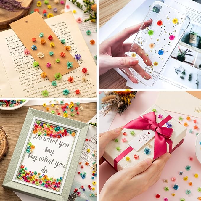 300 PCS Small Dried Flowers for Crafts - Image 4