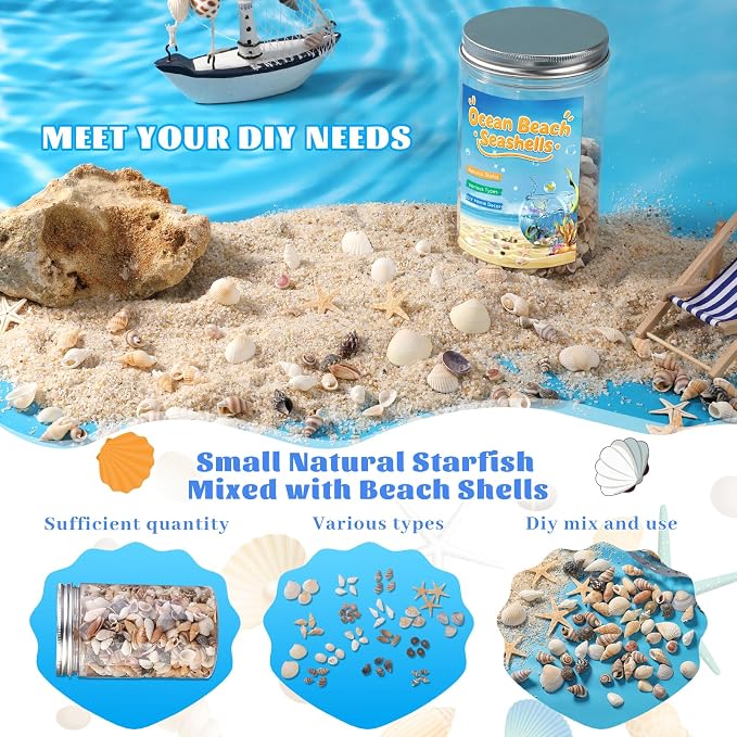 1200 Pcs Tiny Sea Shells, Seashells - Image 4