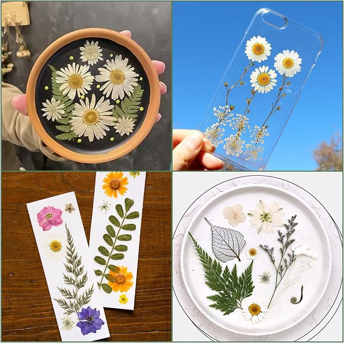 220 Pcs Dried Pressed Flowers for Resin Crafts, Real Natural Pressed Flowers - Image 7