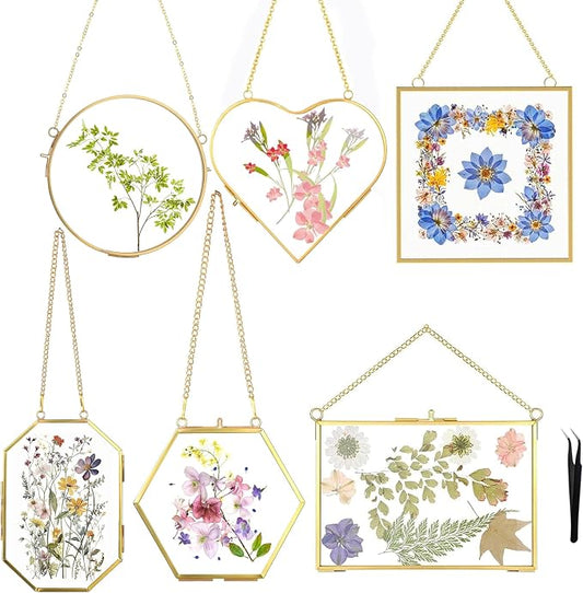 Pressed Flower Frames, Wall Hanging Double Glass Picture Frames by Unknown