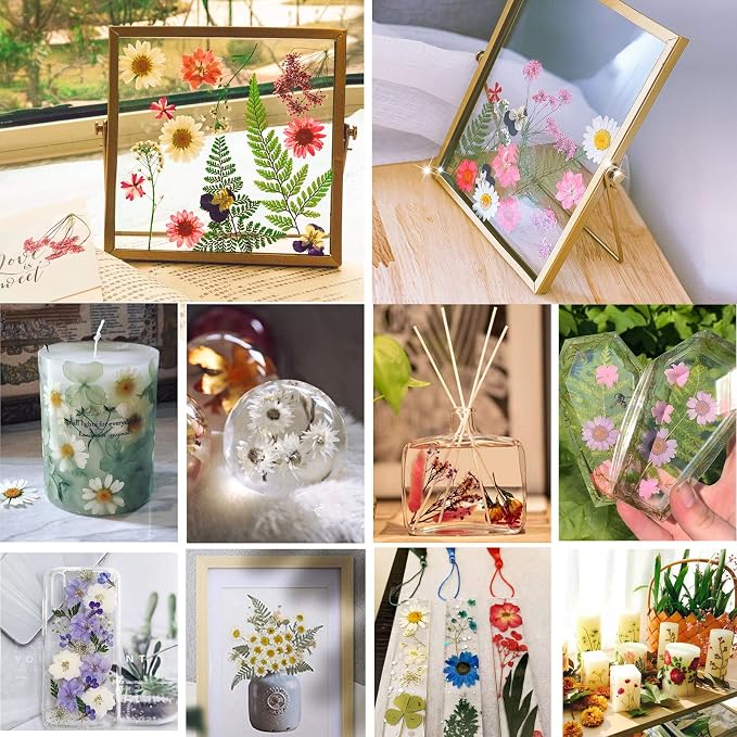 BIHRTC 100PCS Dried Pressed Leaf Flowers Natural Pressed Dry Leaves Sunflowers - Image 5
