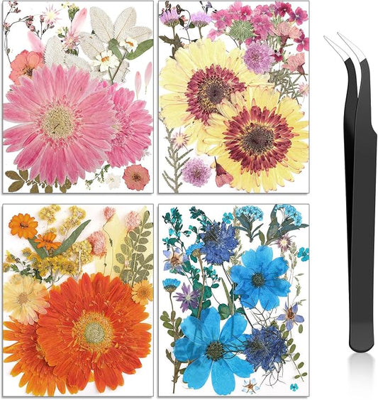 Nuanchu Dried Flower for Crafts Resin Pressed Flowers Bulk, Large Real Dried by Nuanchu