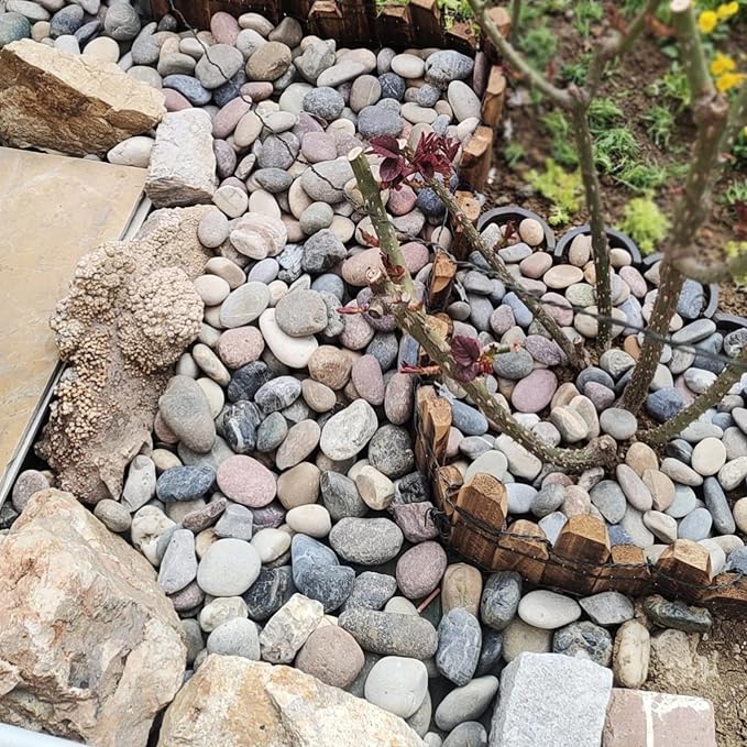 FANTIAN 10 lbs River Rocks, 1-2 Inch Natural Pebbles - Image 5