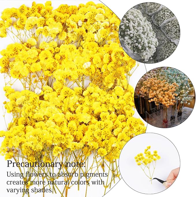 50Pcs Yellow Babys Breath Dried Pressed Flowers - Image 4