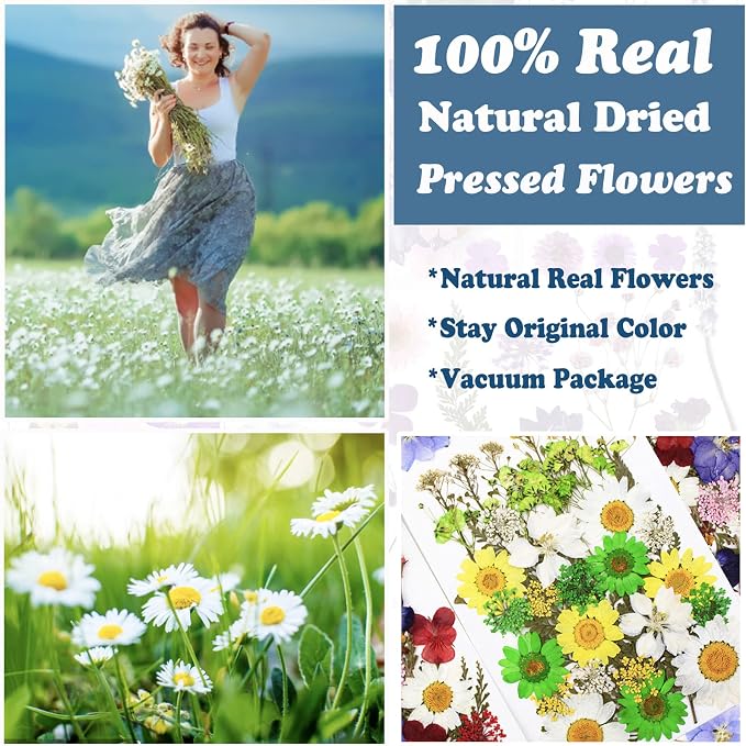 84 Pcs Green Dried Pressed Flowers Real Natural Leave - Image 2