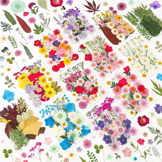 NESCCI 420 Pcs Dried Pressed Flowers by NESCCI