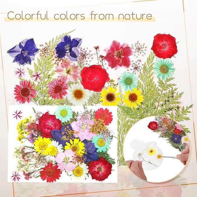 TaoBary 91 Pcs DIY Handmade Transparent Dried Flower Bookmark Set Include - Image 4