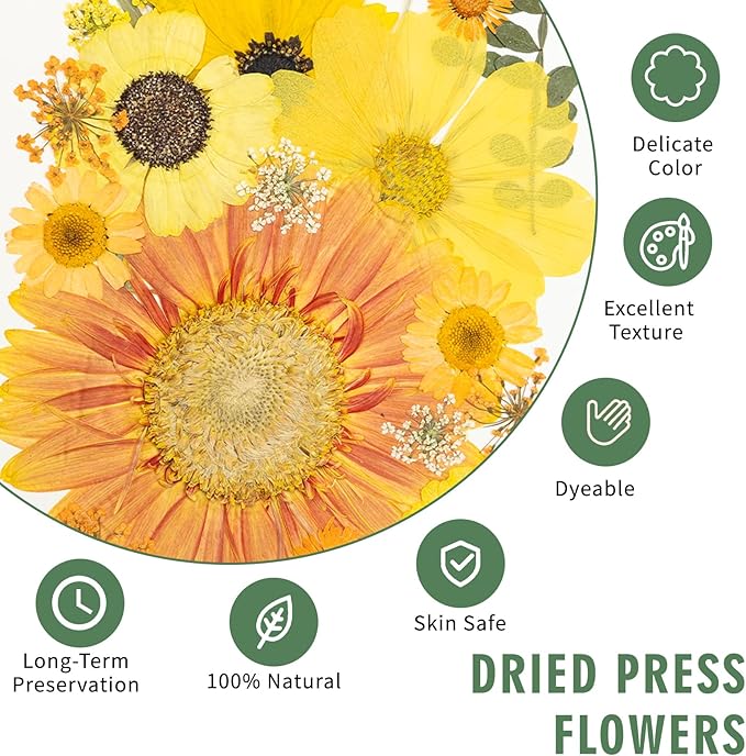 188 Pcs Dried Pressed Flowers for Resin Crafts, Real Natural Pressed Flowers - Image 3