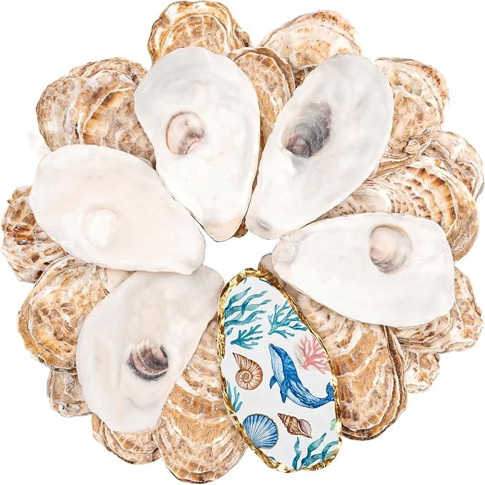 30Pcs Large Flat Oyster Shells for Crafts, 5-6 Inch Cleaned Natural Oyster by LAMIVORA