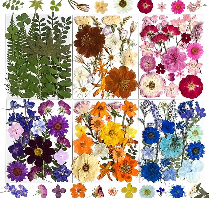 120Pcs Multi-Style Dried Pressed Flowers & Leaves by Unknown