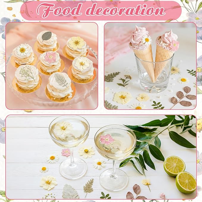 96 Pcs Natural Dried Pressed Flowers - Image 6