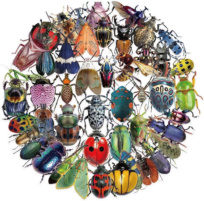 50PCS Cartoon Insects Stickers Aesthetic PET Transparent Insect Decal by Unknown