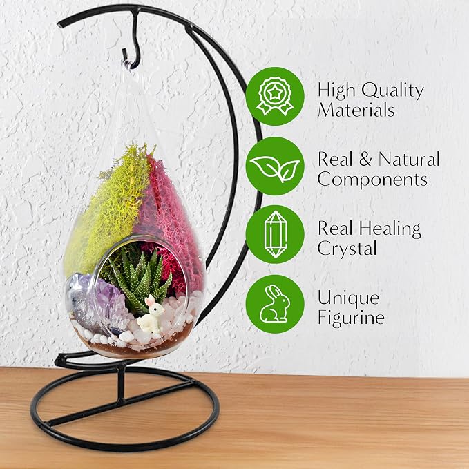 Creations by Nathalie DIY 7" DIY Teardrop Terrarium Kit - Image 5