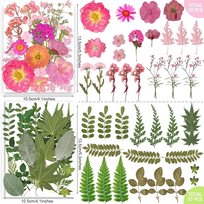 301Pcs Multi-Style Dried Pressed Flowers & Leaves - Image 8