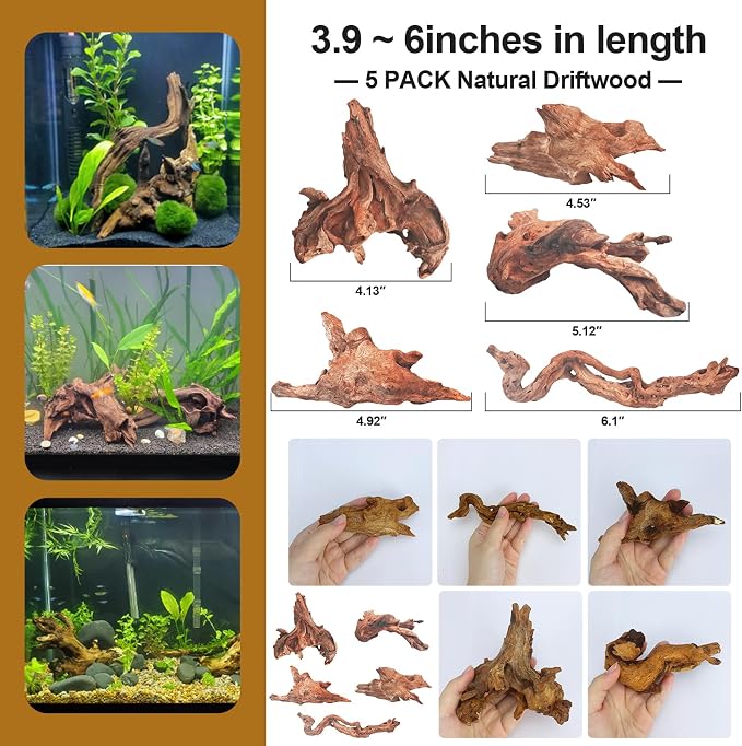 Natural Driftwood Decor for Aquarium Decorations Reptile Tank Accessories - Image 6