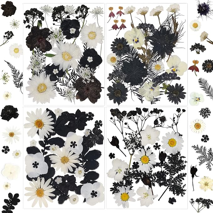 94 Pcs Black Pressed Dried Flowers by LUCISKY