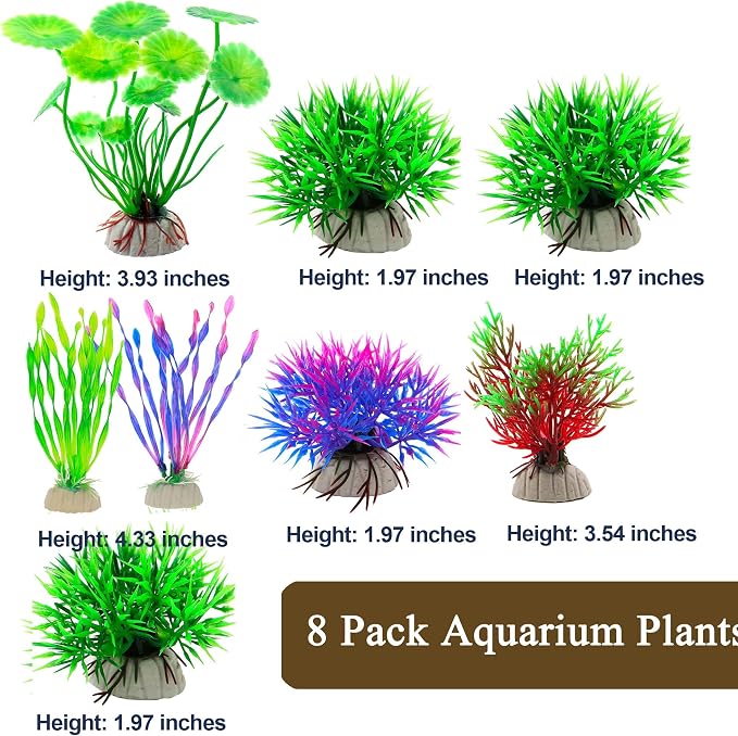 Natural Driftwood Decor for Aquarium Decorations Reptile Tank Accessories - Image 8