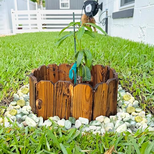 10 lb Jade Pebbles for Indoor Plants, 1-2 Inch Polished Decorative Pebbles for - Image 3