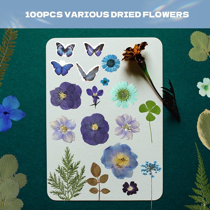 Pressed Flowers112 Pcs, Dried Pressed Flowers - Image 2