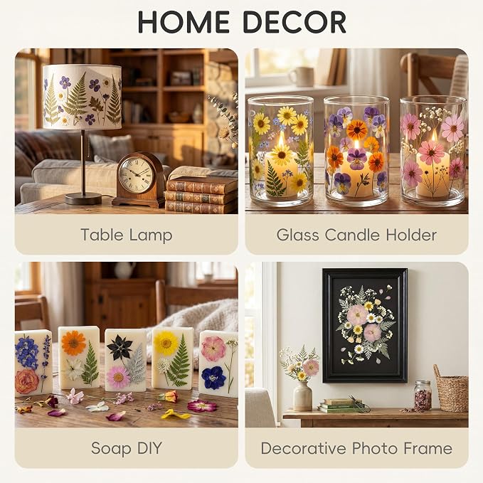 LUXEEASE 4-Color 100P Vibrant Dried Pressed Flowers | Vivid blue orange pink - Image 6