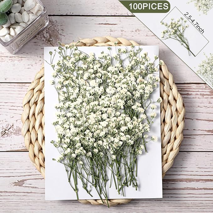 Tinideya 100 Pcs Dried Babys Breath Flowers Bulk Babys Breath Real Pressed - Image 2