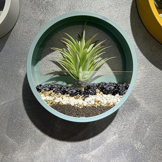 Pulovin 2.5 lbs Black Pebbles for Indoor Plants, 3/8" Plant Rocks for Pots - Image 7