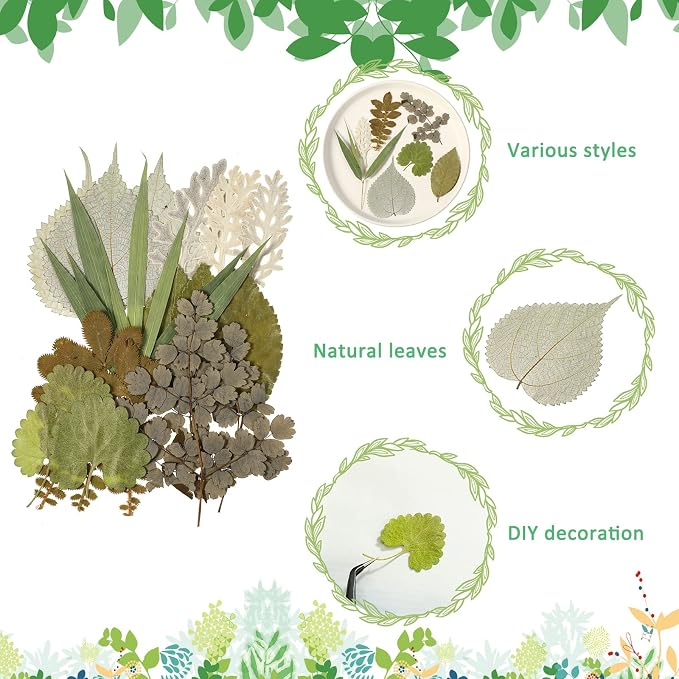 Timtin 84 Pieces Dried Pressed Leaves Flowers - Image 2