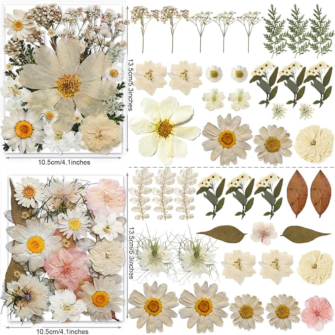 140PCS White Dried Pressed Flowers - Image 3