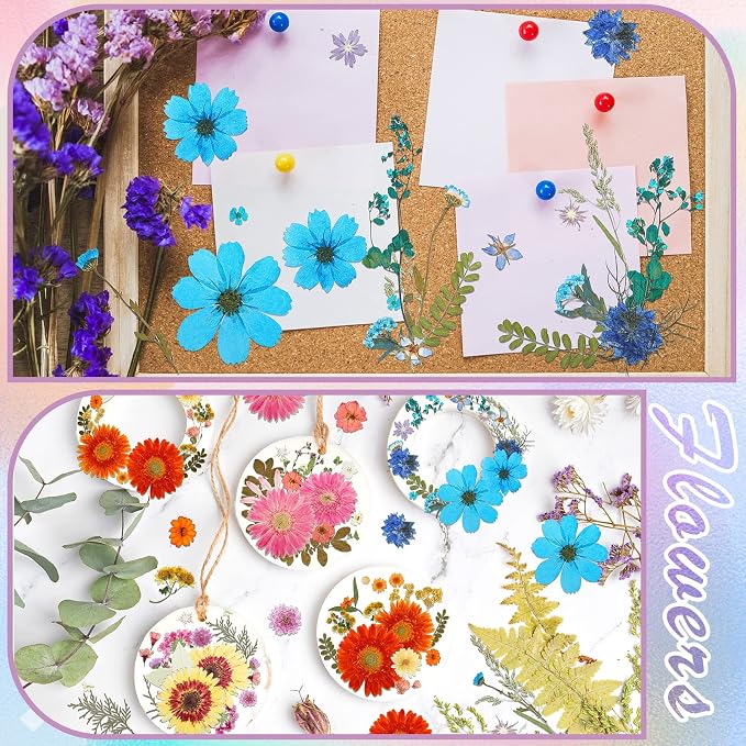 Nuanchu Dried Flower for Crafts Resin Pressed Flowers Bulk, Large Real Dried - Image 7