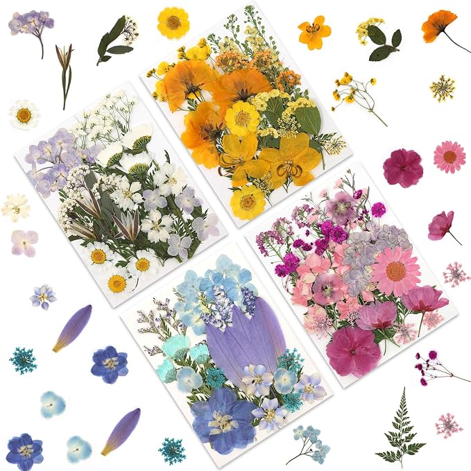 LUXEEASE 4 Color 110P Long Stem Dried Pressed Flowers | Long stems by LUXEEASE