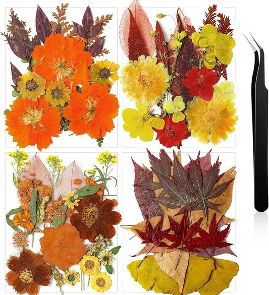 Nuanchu Fall Pressed Flowers Bulk Dried Flower by Nuanchu