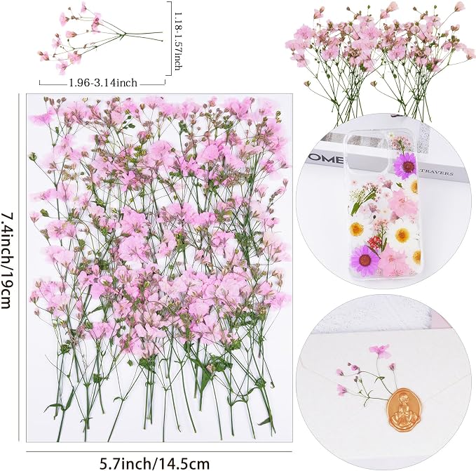 50Pcs Pink Dried Pressed Flowers - Image 2