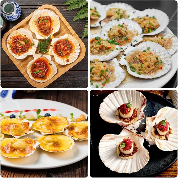 10PCS Large Natural Scallop Shells, DIY Painting, Baking and Beach Wedding - Image 7